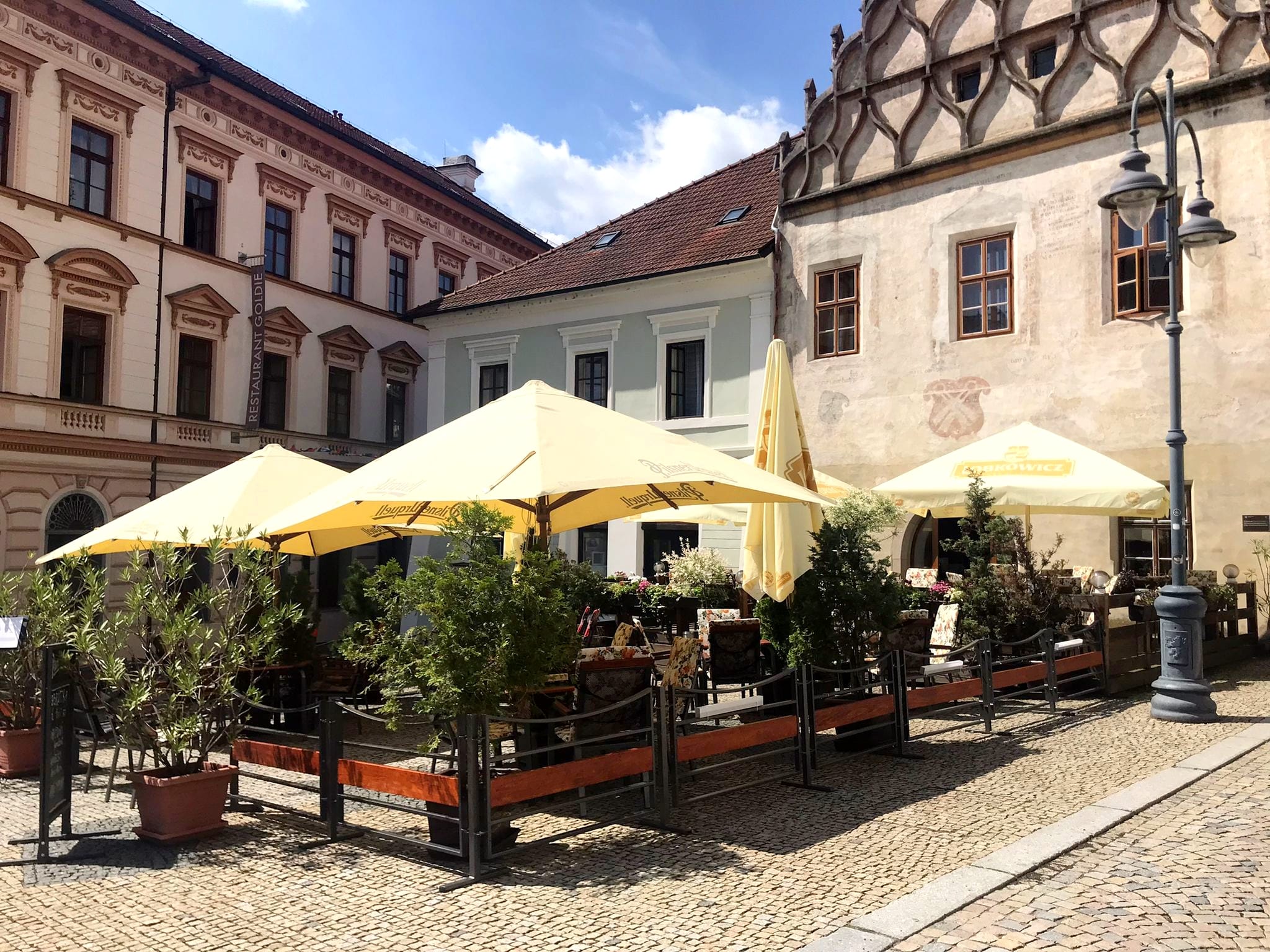 škoch zahr.